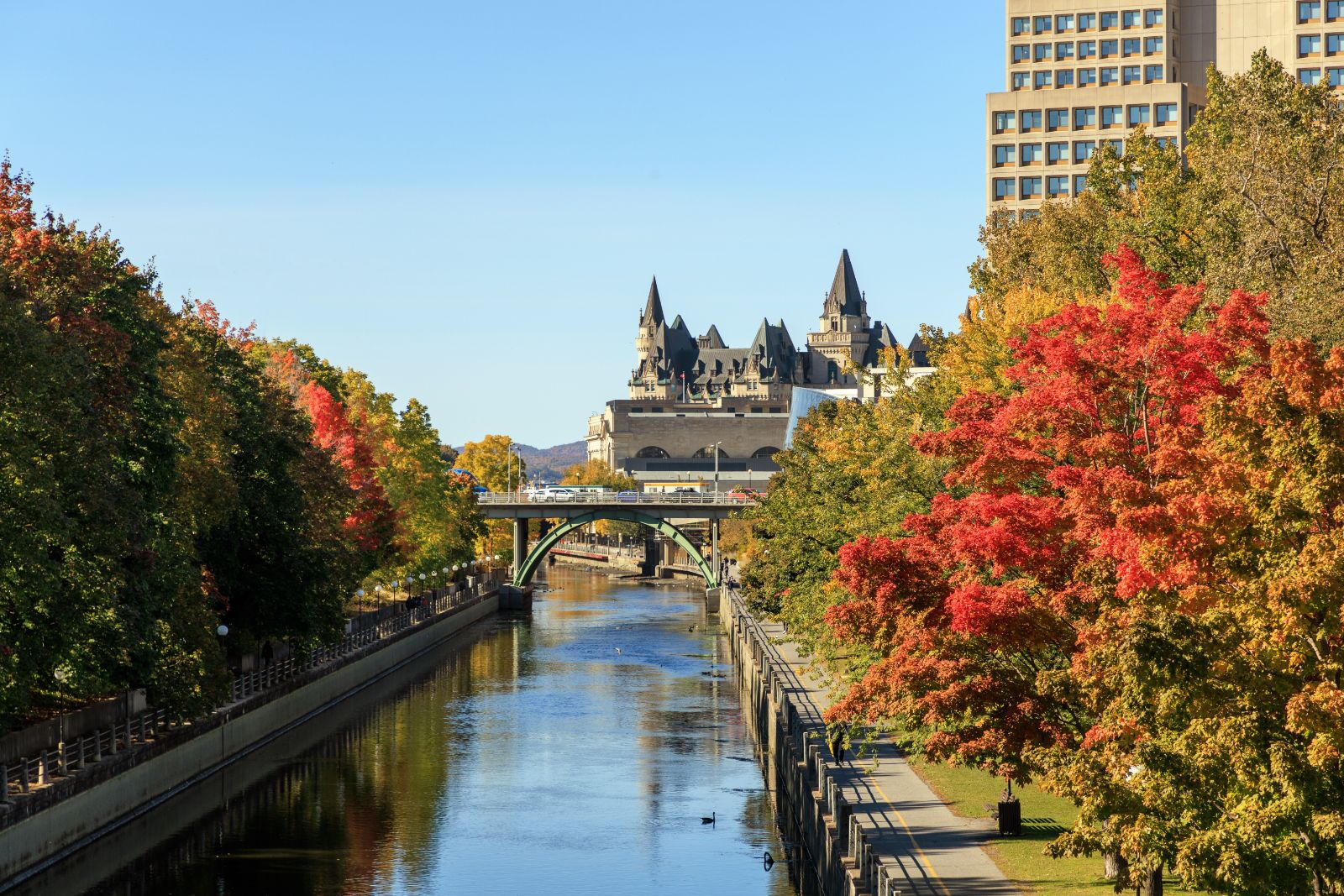 Physio Marketing Ottawa